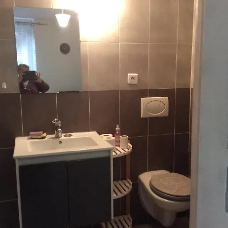 Confortable 33 M2 公寓 Hérépian